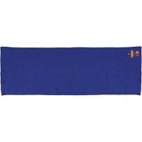 Chill-Its 6606FR FR Cooling Towel, Blue Groupe Belzile Dickner