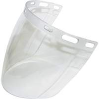 Visi&egrave;re 2CL, Polycarbonate, Teinte Transparent Groupe Belzile Dickner