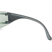 Lunettes de s&eacute;curit&eacute; Adapt Lite, Lentille Int&eacute;rieur/ext&eacute;rieur, Antibu&eacute;e/Anti-&eacute;gratignures, ANSI Z87+/R&eacute;pond ou surpasse la norme CSA Z94.3 Groupe Belzile Dickner