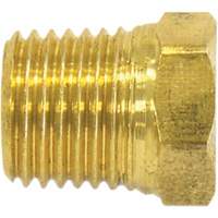 Pipe Plug (Hex Head), 1/4" Dia., Brass Groupe Belzile Dickner