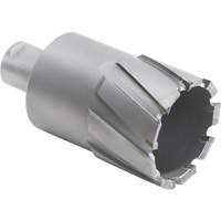 Couteau annulaire avec coupe &agrave; &acirc;me, Diam&egrave;tre de 1/2", Carbure, Profondeur de la coupe de 1-1/2", Tige 3/4" Groupe Belzile Dickner