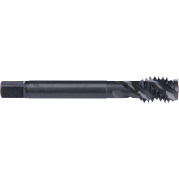 45° Spiral Flute Tap, High Speed Cobalt, 6-32 Thread, 2" L Groupe Belzile Dickner