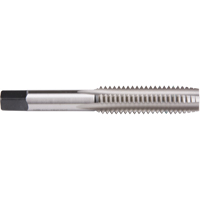 Plug Hand Tap, High Speed Steel, 1-64 Thread Groupe Belzile Dickner