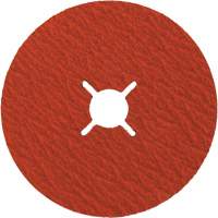 Cerabond X Fibre Disc, Ceramic, 24, 5" Dia x 7/8" Arbor Groupe Belzile Dickner