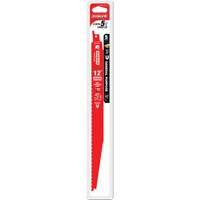 Lame de scie alternative tout usage, Bim&eacute;tal, 8-14 Dents par pouce, 12" lo x 1" la Groupe Belzile Dickner