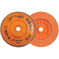 Enduro-Flex Turbo Flap Disc, 4-1/2" x 5/8"-11, 36/60 Grit Groupe Belzile Dickner