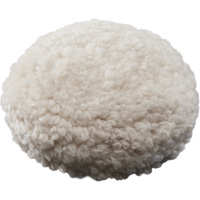 Cutting Pad, 3" Dia. Groupe Belzile Dickner