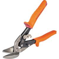 Compound Action Snips Groupe Belzile Dickner