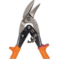 Compound Action Snips Groupe Belzile Dickner