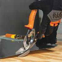 Compound Action Snips Groupe Belzile Dickner