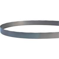 Welded Bandsaw Blade, Bi-Metal, 14' L x 1" W x 4 - 6 TPI Groupe Belzile Dickner