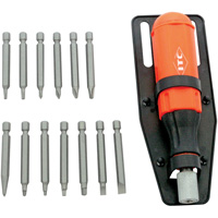15-Piece Multi-Bit Screwdriver Set, Plastic Handle Groupe Belzile Dickner