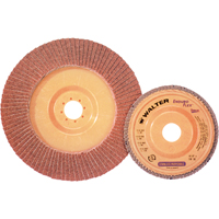 Enduro-Flex Stainless Flap Disc, 4-1/2" x 7/8", Type 27, 40 Grit, Zirconia Alumina Groupe Belzile Dickner