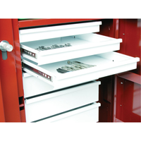 &eacute;tabli roulant, 49-7/8" la x 40-5/8" h x 26-7/8" p, Capacit&eacute; de 24,6 pi³ Groupe Belzile Dickner