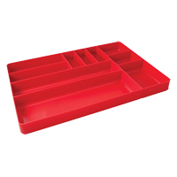 Tray Organizer Groupe Belzile Dickner