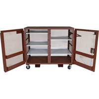 Mobile Mesh Cabinet, Steel, 49 Cubic Feet, Red Groupe Belzile Dickner