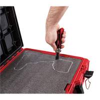 Packout Tool Case with Customizable Insert, 20-7/10" x 15-1/5" x 6-1/5", Black/Red Groupe Belzile Dickner