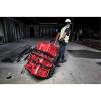 Packout™ 2-Wheel Cart TER104 | Dickner Inc