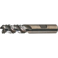PM Plus Single End Roughers, Powder Metal, 3-Flute, Centre Cutting, Square End, 3/4" Dia. Groupe Belzile Dickner