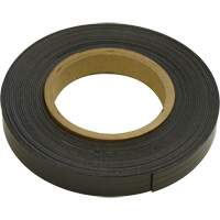 Magnetic Strips, 100' L x 1" W, 1/16" Thickness, Strength of 6 lbs. per Lin. Ft. Groupe Belzile Dickner
