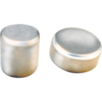 Rare Earth Magnets