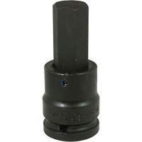 Standard Length Socket, Hex, 7/8" x 4" L, 3/4" Drive Groupe Belzile Dickner