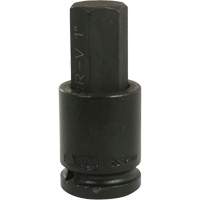 Standard Length Socket, Hex, 1" x 4" L, 3/4" Drive Groupe Belzile Dickner