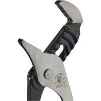 Groove Joint Pliers, 10" Groupe Belzile Dickner