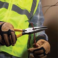 Long Nose With Side Cutter, 8-7/16" L Groupe Belzile Dickner