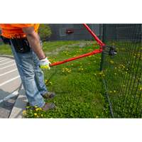 Coupe-Boulons, 14" l, Coupe centrale Groupe Belzile Dickner