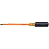 Insulated Square-Recess Screwdriver Groupe Belzile Dickner