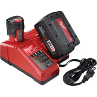Chargeurs de batterie, 18 V, Lithium-ion Groupe Belzile Dickner