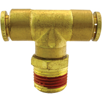 P.T.C. Swivel Male Branch Tees, Brass, 1/8" Groupe Belzile Dickner