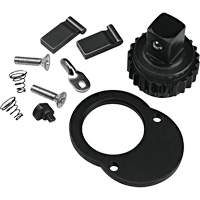 Ratchet Repair Kit Groupe Belzile Dickner