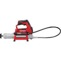 Pistolet graisseur sans fil M12 (outil seulement), Lithium-ion, 12 V Groupe Belzile Dickner