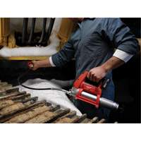Pistolet graisseur sans fil M12 (outil seulement), Lithium-ion, 12 V Groupe Belzile Dickner