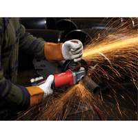 Meuleuse avec interrupteur &agrave; palette sans verrou, 6", 120 V, 13 A, 9000 Tr/min Groupe Belzile Dickner