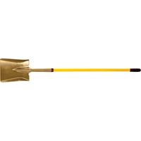 Shovels & Scoops Groupe Belzile Dickner