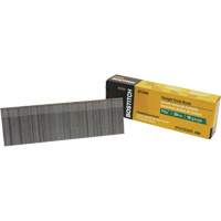 Brad Nails Groupe Belzile Dickner