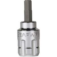 Jeu de douilles &agrave; embouts SAE/m&eacute;triques Pass-Thru, Hexagonale/Phillips/Fente/Torx, Prise 1/4"/3/8", 39 mrcx Groupe Belzile Dickner