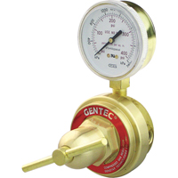 Medium-to-Heavy-Duty Pipeline Regulator, Propane, 1/4" NPT(F) Port Inlet Groupe Belzile Dickner