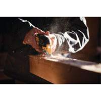 Max XR&reg; Brushless 3-Speed Oscillating Multi-Tool (Tool Only), 20 V, Lithium-Ion Groupe Belzile Dickner