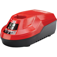 M4 Charger, 4 V, Lithium-Ion Groupe Belzile Dickner