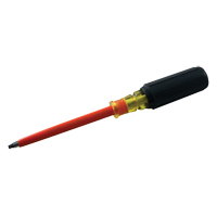 Square Screwdriver Groupe Belzile Dickner