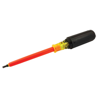 Square Screwdriver Groupe Belzile Dickner