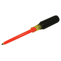 Square Screwdriver Groupe Belzile Dickner