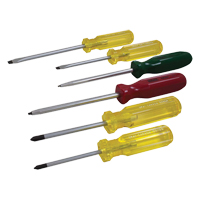 Screwdriver Set, 6 Pcs. Groupe Belzile Dickner