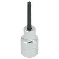 Replacement Bit, 5 mm x 1-1/5" L, 3/8" Drive Groupe Belzile Dickner