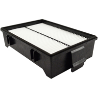 PA5656 Cabin Air Element Groupe Belzile Dickner