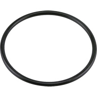 G438 Buna-N O-Ring Groupe Belzile Dickner